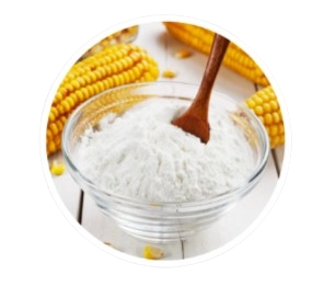 Fast Lean Pro Ingredient - Fibersol 2