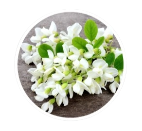 Fast Lean Pro Ingredient - Sukre