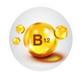 Fast Lean Pro Ingredient - Vitamin B12