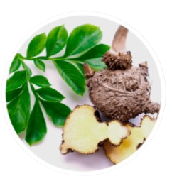 LipoSlend Glucomannan