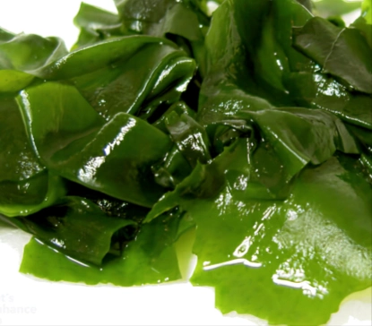 OrexiBurn Ingredient - Ecklonia Cava