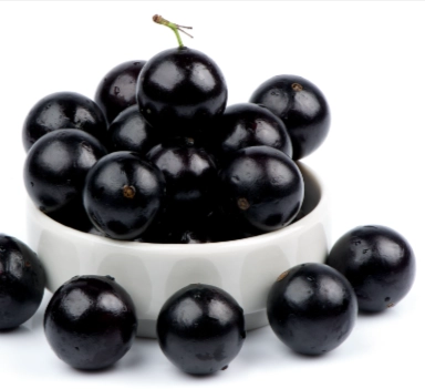 OrexiBurn Ingredient - Myrciaria Jaboticaba
