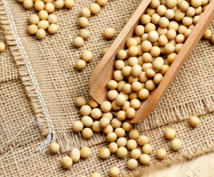 OrexiBurn Ingredient - Phosphatidylserine